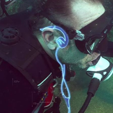 Casque étanche XP DEUS 2 BH-01 – Image 4